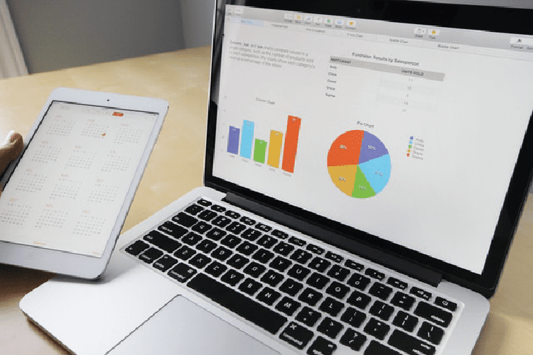 Data Set Interrogation